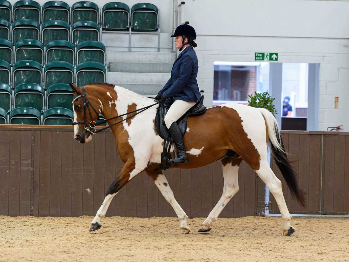 Anne Hollier and The Scout, runner up in 2019 SEIB Search for a Star Riding for the Disabled Championship final