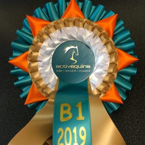 https://activequine.app/wp-content/uploads/2019/11/dressage-b1-2019-1-300x300.jpeg