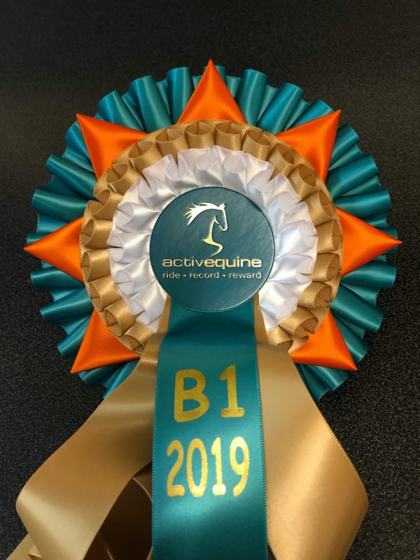 Dressage B1 2019 Rosette