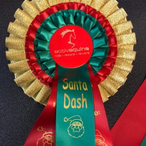 https://activequine.app/wp-content/uploads/2019/11/santa-dash-300x300.jpeg