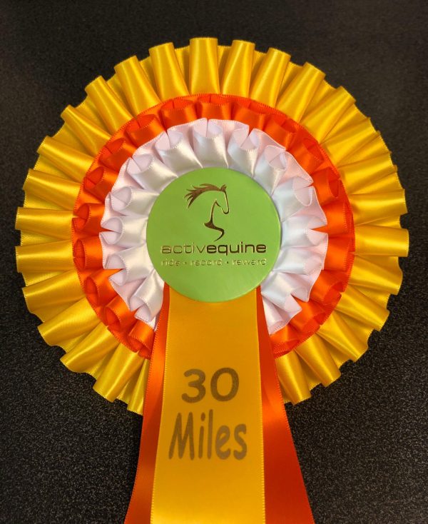 Spring Sprint Rosette