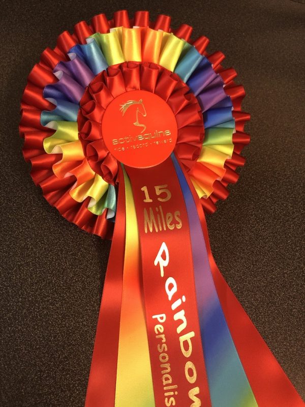 Rainbow Ride Challenge 1 Rosette