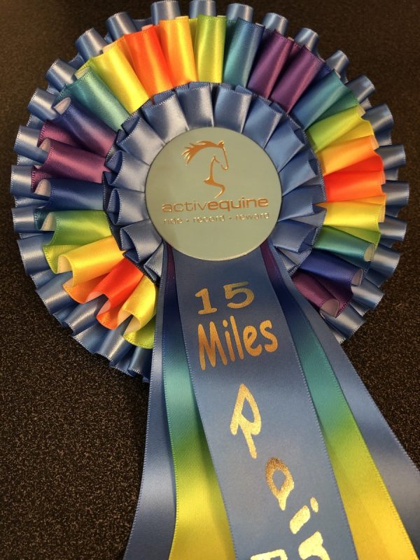 Rainbow Ride Challenge 5 Rosette