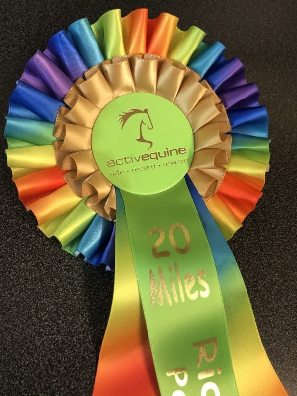 Ride Out 2020 - 20 Mile Challenge Rosette