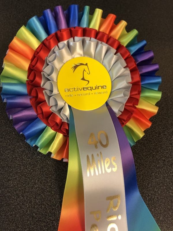 Ride Out 2020 - 40 Mile Challenge Rosette