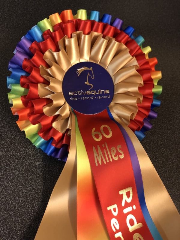 Ride Out 2020 - 60 Mile Challenge Rosette