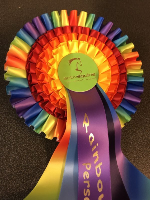 Overall Rainbow Ride Challenge Rosette