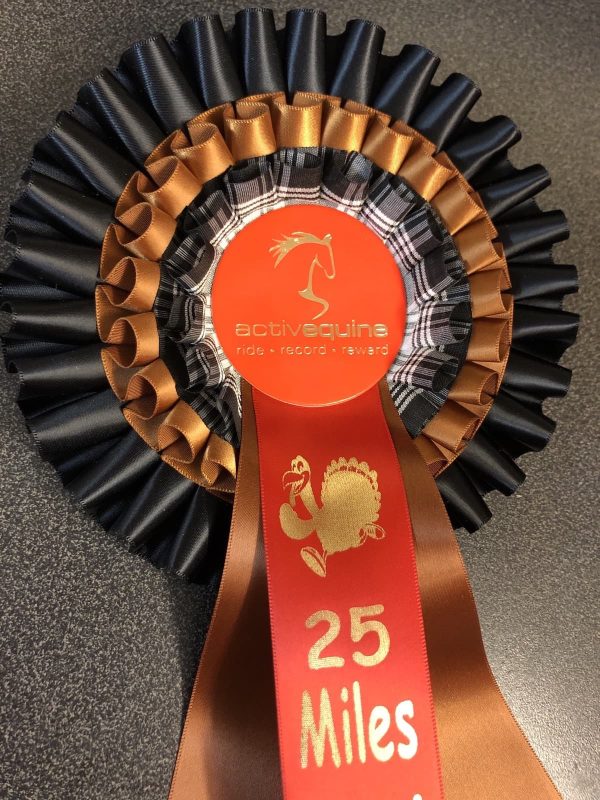 Turkey Trot Rosette