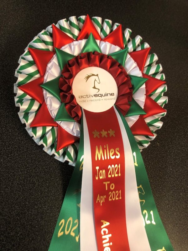 New Years Riding Resolution 2021 Challenge Rosette