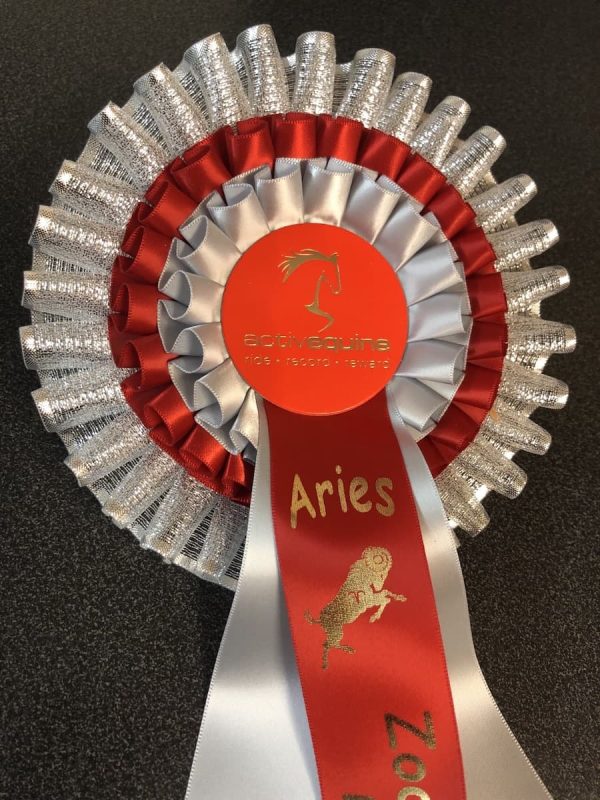 Zodiac Aries Challenge Rosette