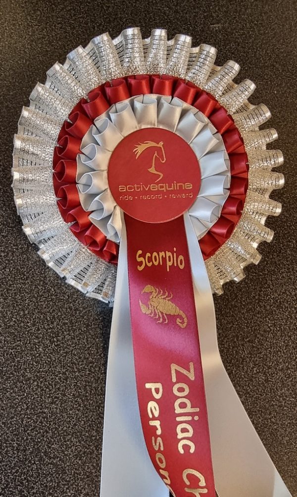 Zodiac Scorpio Challenge Rosette